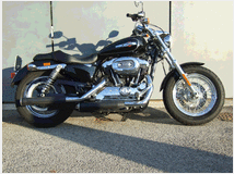 Harley-davidson sportster 1200 sportster custom